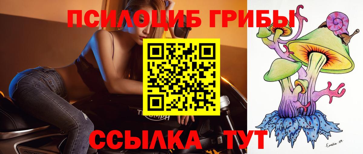 где купить наркотик  Вход с VPN  Пугачёв  Галлюциногенные грибы мицелий 