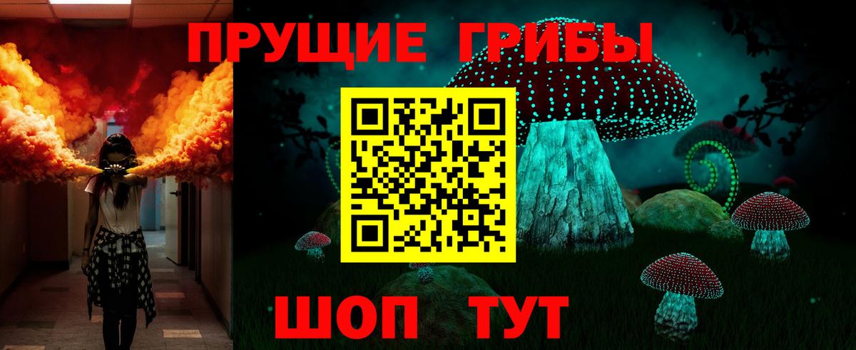 Галлюциногенные грибы Psilocybe Пугачёв