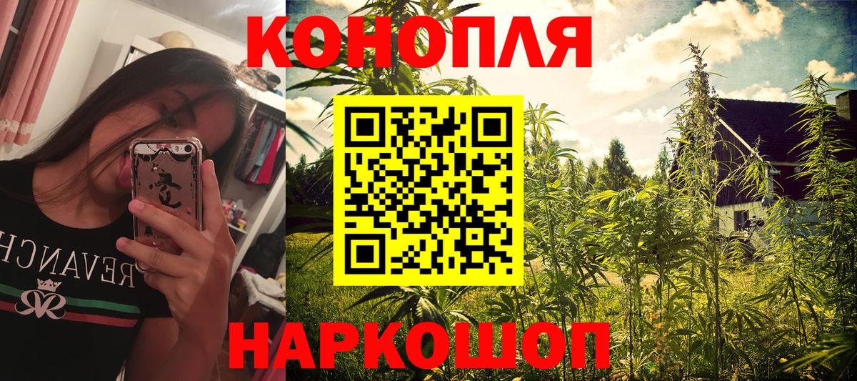 Бошки марихуана планчик Пугачёв